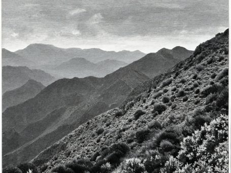 Breathe Between the Peaks